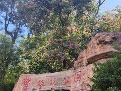 -攀枝花公园