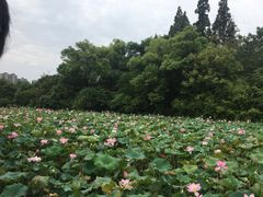 -南昌动物园