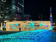 -大通公园
