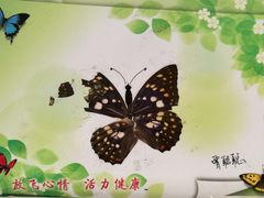 -上海昆虫博物馆