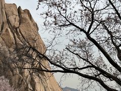 -北京凤凰岭