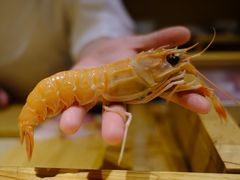 东海鳌虾-镹·鱼料理  国产鱼使用店