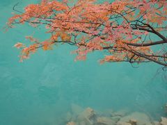 -叠溪松坪沟景区