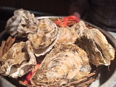 -蚝翅·海鲜粥·烧烤·宁夏滩羊季(玉米楼店)