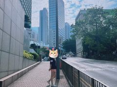 -Big Bus Tours 敞篷观光巴士