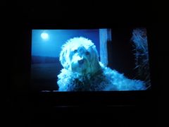 -保利国际影城(万家邻里店)