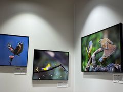 -西藏饭店·亚克·食光自助餐厅