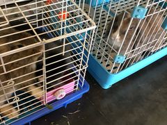 -呼吸森林·生态农庄农家乐私房菜