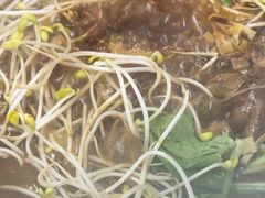 -皖北巫氏三胖地锅鸡(正大店)