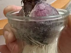 -双季花艺园艺市场(浦东店)