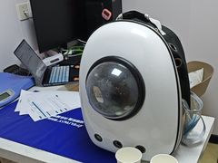 -格蕾宠物医院24H·猫科·肿瘤科·骨科中心(福州总院)
