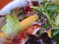 -MR.ROCKY洛奇先生·西餐&酒吧(琶醍店)