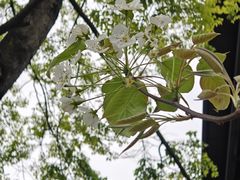 -桤木河湿地公园