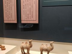 -隋唐大运河文化博物馆