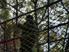 -苏州太湖西山岛开心农场