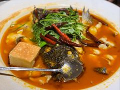 -清水亭湖北菜(大屯DT51店)