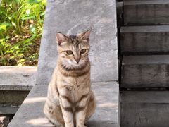 -四门塔风景区