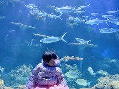 -华夏文旅海洋公园