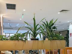 -NOVAE CAFE 咖啡·可颂(望京店)