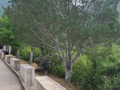 -北京十三陵国家森林公园蟒山景区