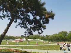 -北陵公园