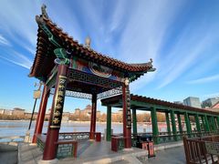 -莲花池公园