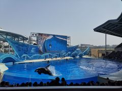 -上海海昌海洋公园