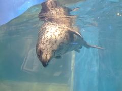 -鄂尔多斯野生动物园