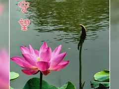-圆明园停车场