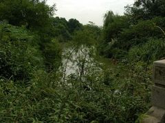 -梁鸿国家湿地公园