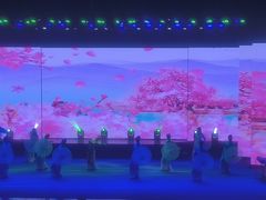 -南风大剧院莎梦二人转剧场