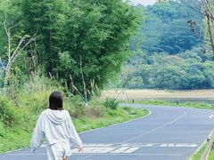 -罗浮山嘉宝田森林温泉度假酒店