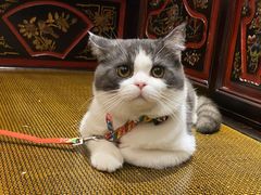 -馨园villa融合菜(东山店)
