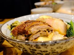 狮头牌鹅肉拼五花肉饭-狮头牌卤味研究所·卤味饭(花城汇南区店)