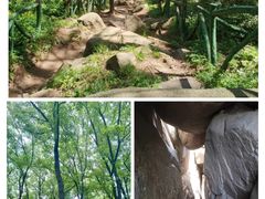 -鲁山国家森林公园