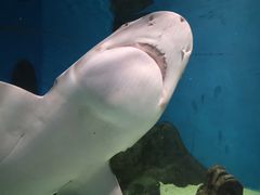 -秦皇岛新澳海底世界