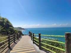 -广东惠东海龟国家级自然保护区