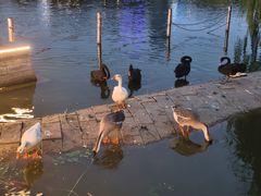 -西海子公园