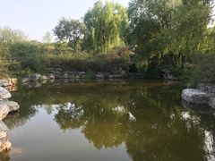 -北京西山国家森林公园