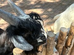 -水上乐园·欢乐世界