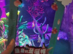 -沈阳海洋探索中心