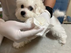 -爱侣宠医·鹦鹉专科·小型哺乳类·异宠专科(灵石路店)