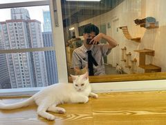 -Heymao猫咖.咖啡厅(东门店)