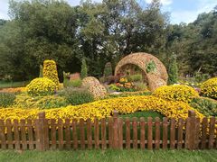 -上海共青森林公园