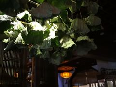 -一慈茶馆(雨田馆)