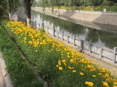 -花甲大咖(曼哈顿店)