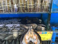 -蚝专家(北滘店)