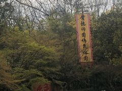 -杭州黄龙洞