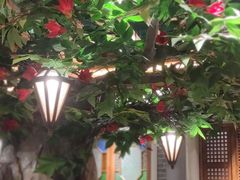 -老广酒楼(樱花店)