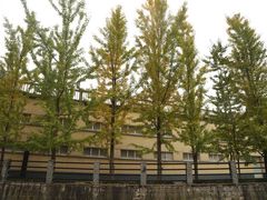 -西南交通大学(峨眉校区)